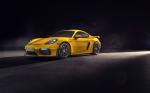 Porsche 718 Cayman GT4 2019 года (WW)